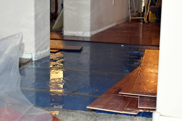 Professional Flood Cleanup technician working in Flora, IL